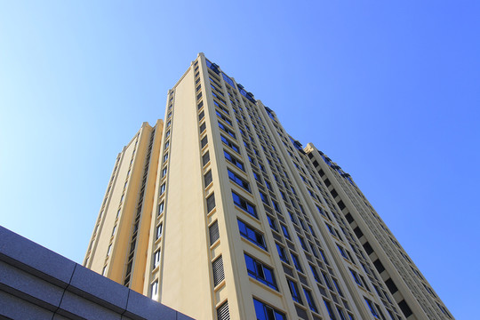 新建的辦公樓