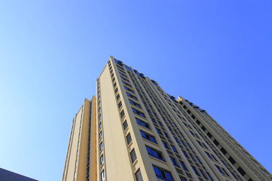新建的辦公樓