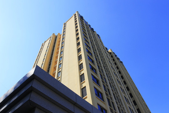 新建的辦公樓