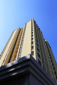 新建的辦公樓