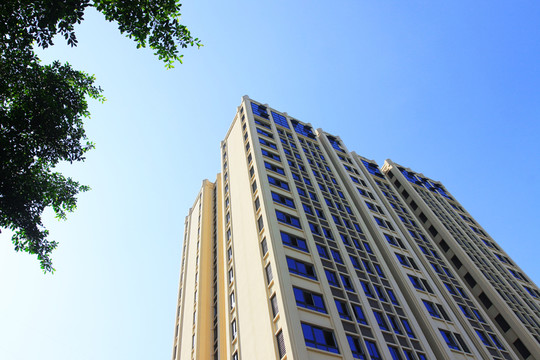 新建的辦公樓