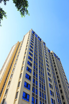 新建的辦公樓