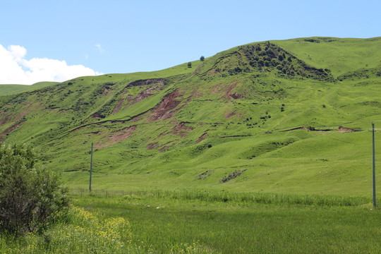 嫩綠的山坡