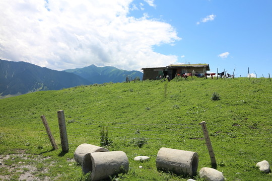 嫩綠的山坡
