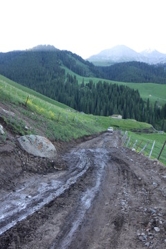 泥濘的山路