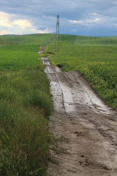 泥濘的田間小路