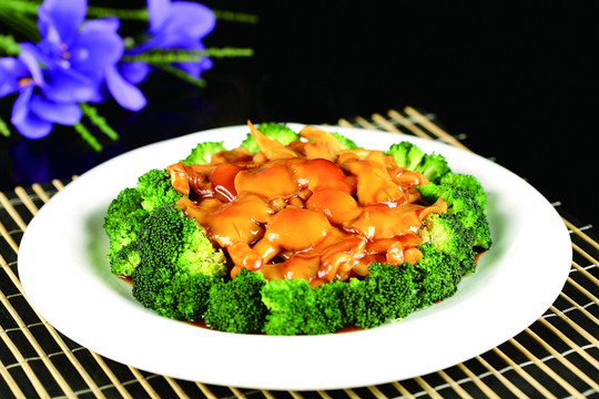 耗汁滑子菇