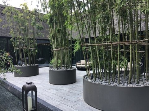 戶外造景