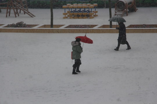 風(fēng)雪交加 （12）