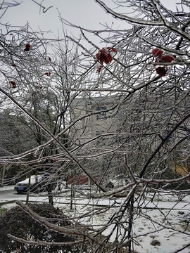 冰天雪地 （14）