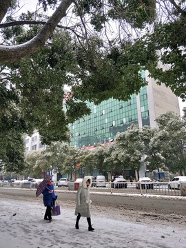 冰天雪地 （33）