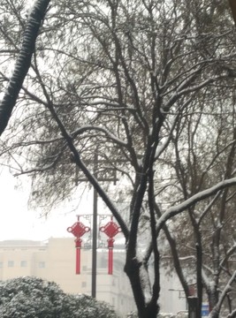 西安 北大街 北辰大道 雪
