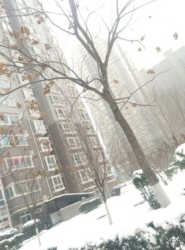 西安 北大街 北辰大道 雪