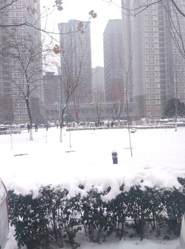 西安 北大街 北辰大道 雪