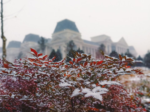 歐式建筑和雪景