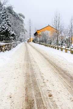 九華山雪景