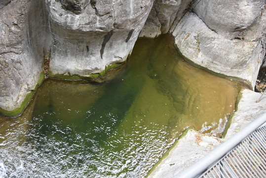 一汪綠水