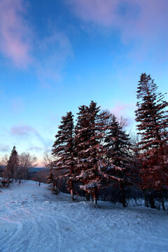雪鄉(xiāng) 雪鄉(xiāng)風(fēng)景 中國雪鄉(xiāng) 雪景