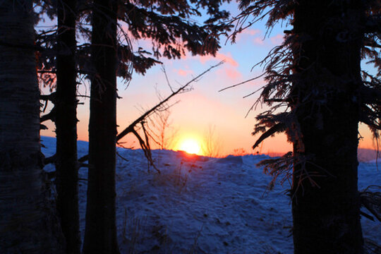 雪鄉(xiāng) 雪鄉(xiāng)風(fēng)景