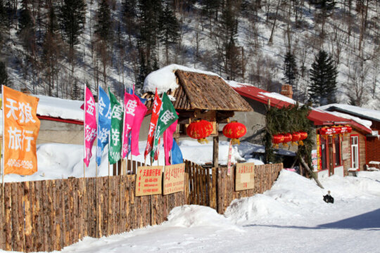 雪鄉(xiāng) 雪鄉(xiāng)風景 中國雪鄉(xiāng) 雪景