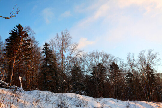 雪鄉(xiāng) 雪鄉(xiāng)風(fēng)景