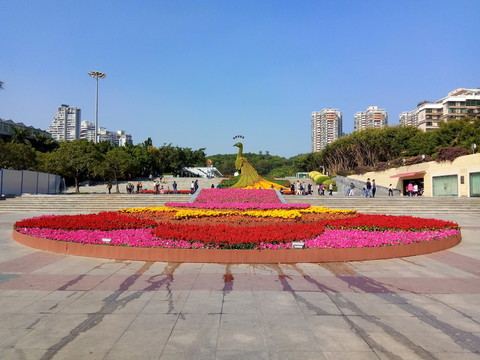 孔雀開屏 孔雀造型鮮花展覽