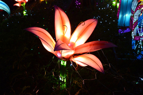 花燈