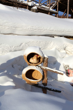 雪鄉(xiāng) 雪鄉(xiāng)風景 中國雪鄉(xiāng)