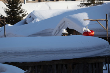 雪鄉(xiāng) 雪鄉(xiāng)風(fēng)景 中國(guó)雪鄉(xiāng)
