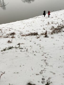 雪地美景