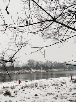 雪地美景