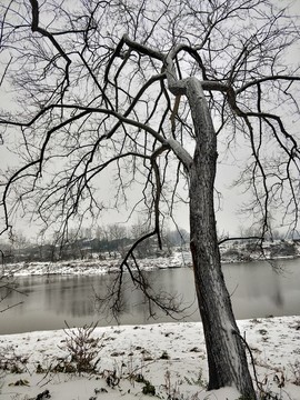 雪地美景