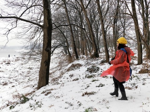 雪地美景