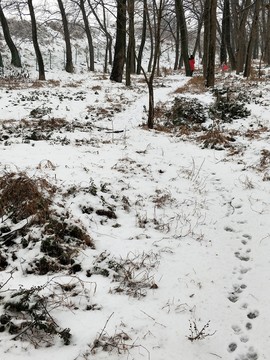 風(fēng)雪中的歡樂 （34）