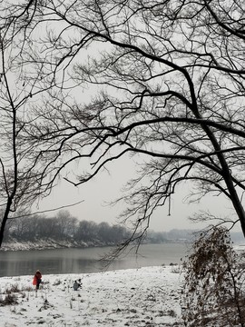 風(fēng)雪中的歡樂(lè) （37）