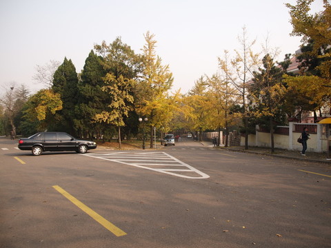 秋日的青島八大關(guān)