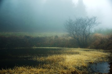 山林