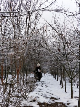 雪景美如畫 （3）