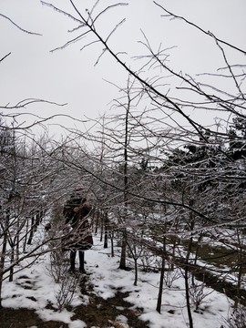 雪景美如畫 （4）