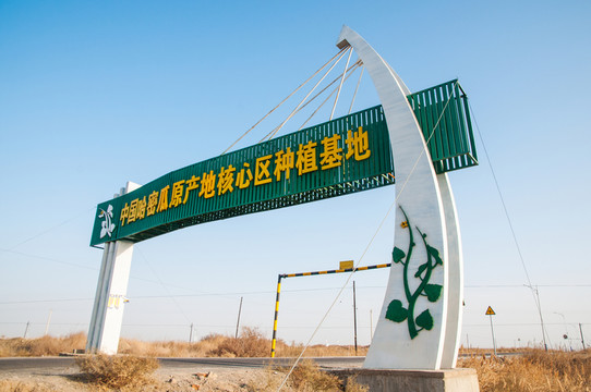 哈密瓜核心種植基地