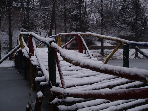 雪后的青島植物園