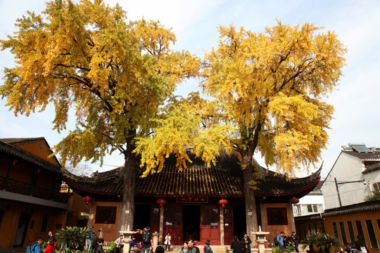 蘇州定慧寺大雄寶殿