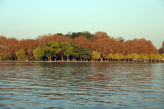 西湖冬景