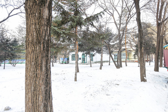 雪地 雪景