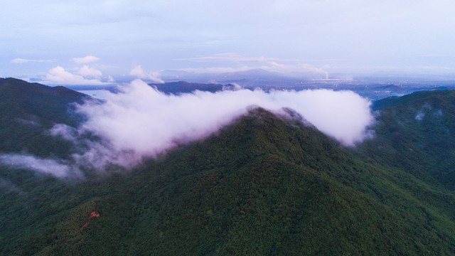 東水山