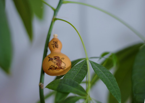 葫蘆 猴子