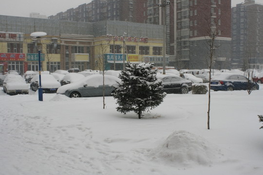 雪后的小區(qū)