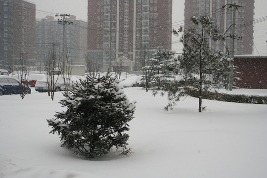 小區(qū)雪景