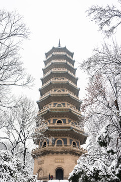 靈谷景區(qū)雪景