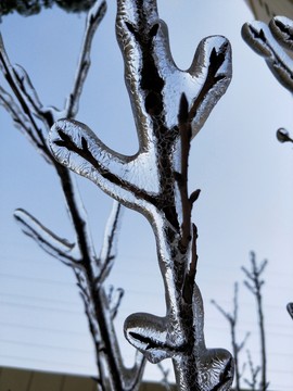 雪后初晴美如畫(huà) （29）